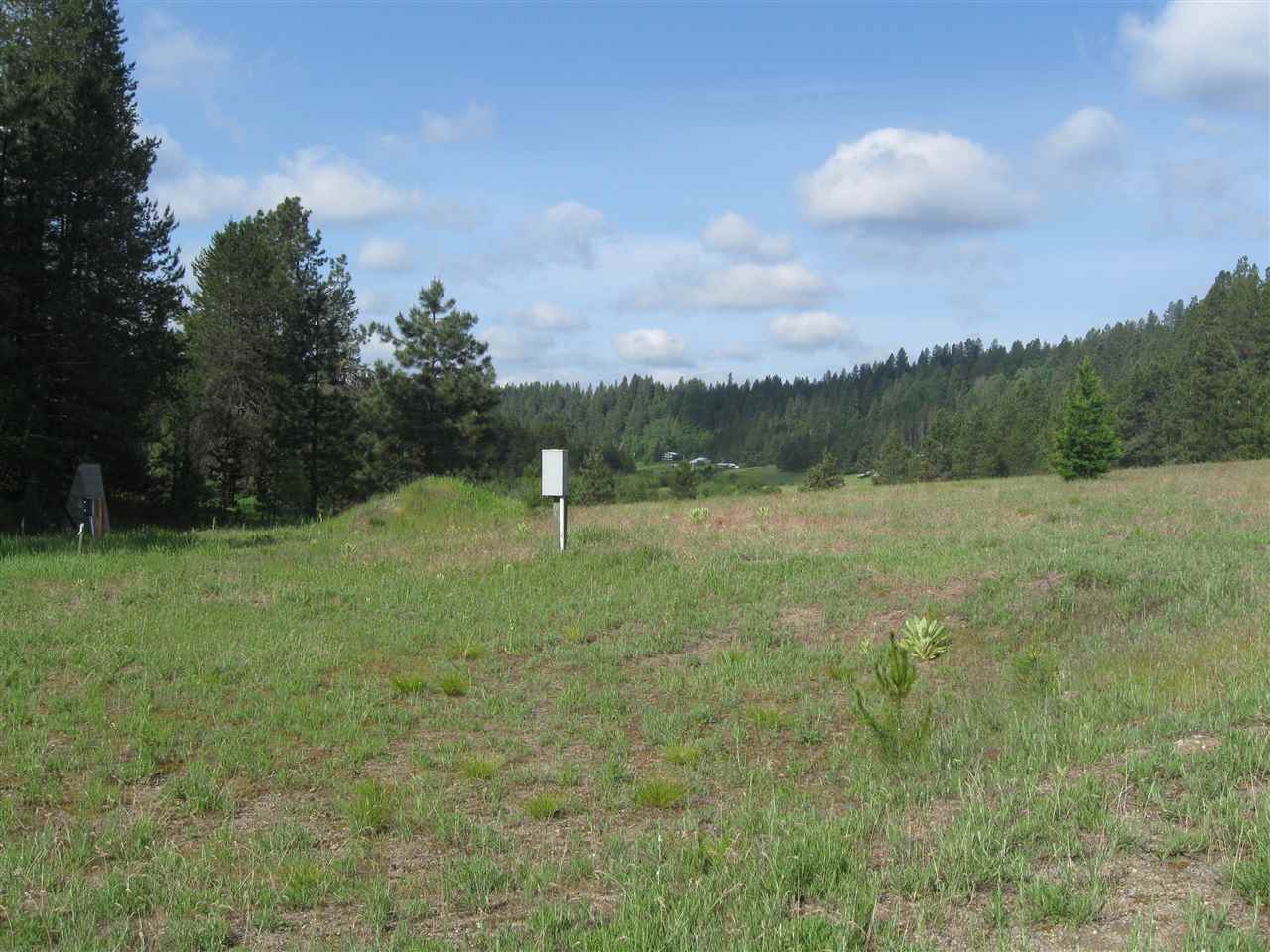 342 Pines Road Newport, WA 99156 - Photo 4 of 5