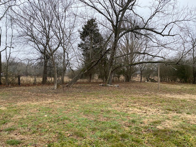 1192 Pleasant Ridge Road Huntland, TN 37345 - Photo 4 of 19 Gallery Image 4
