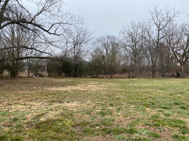 1192 Pleasant Ridge Road Huntland, TN 37345 - Photo 5 of 19 Gallery Image 5