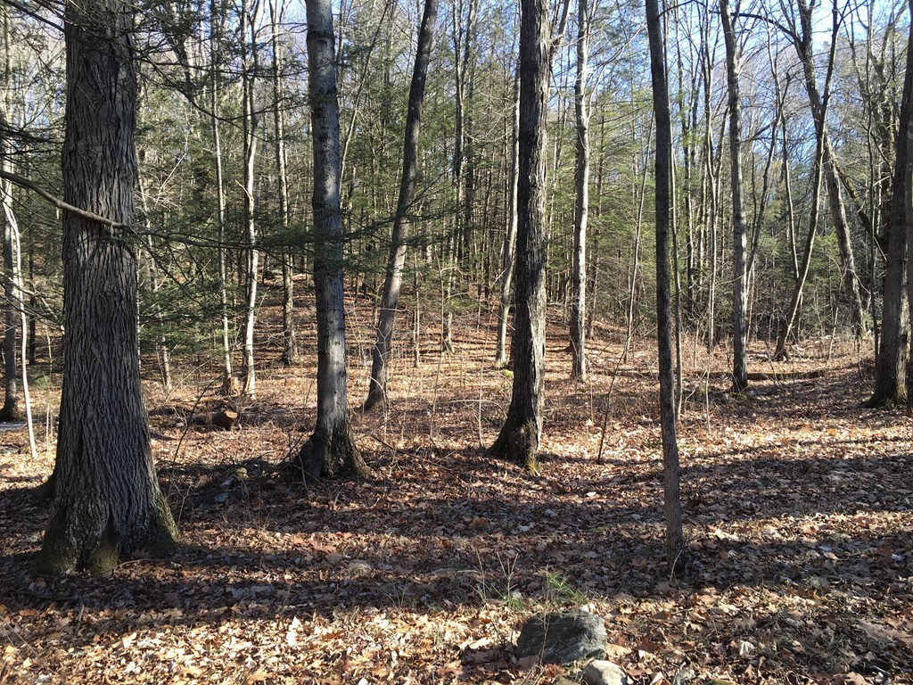 37 Long Plain Road Leverett, MA 01054 - Photo 27 of 30