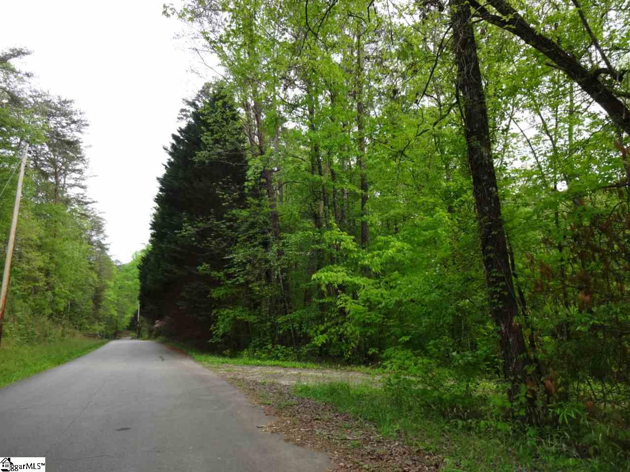 0 Mill Creek Road Sunset, SC 29685 - Photo 2 of 25 Gallery Image 2