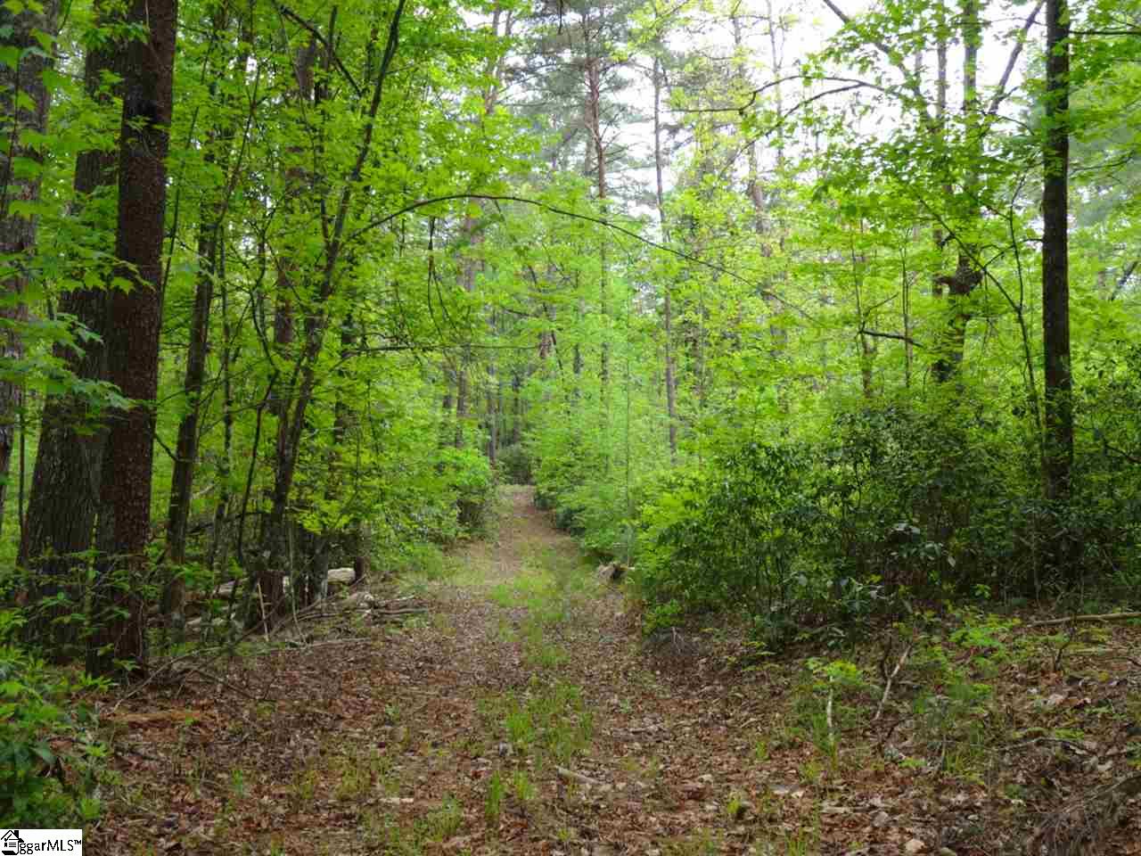 0 Mill Creek Road Sunset, SC 29685 - Photo 12 of 25 Gallery Image 12