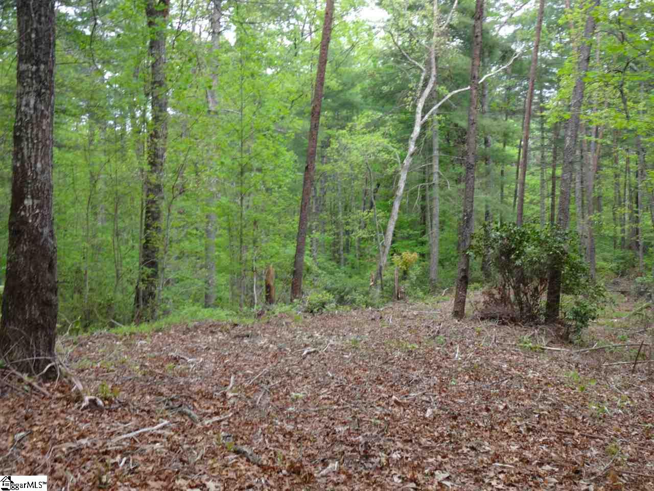 0 Mill Creek Road Sunset, SC 29685 - Photo 14 of 25 Gallery Image 14