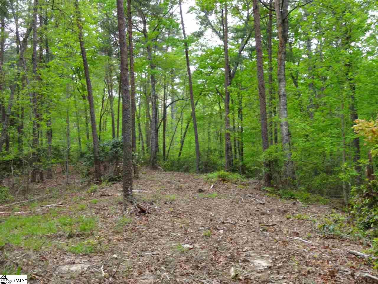 0 Mill Creek Road Sunset, SC 29685 - Photo 15 of 25 Gallery Image 15