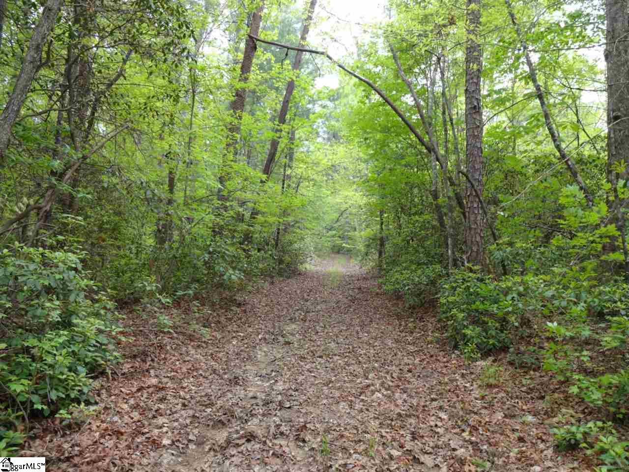 0 Mill Creek Road Sunset, SC 29685 - Photo 10 of 25 Gallery Image 10