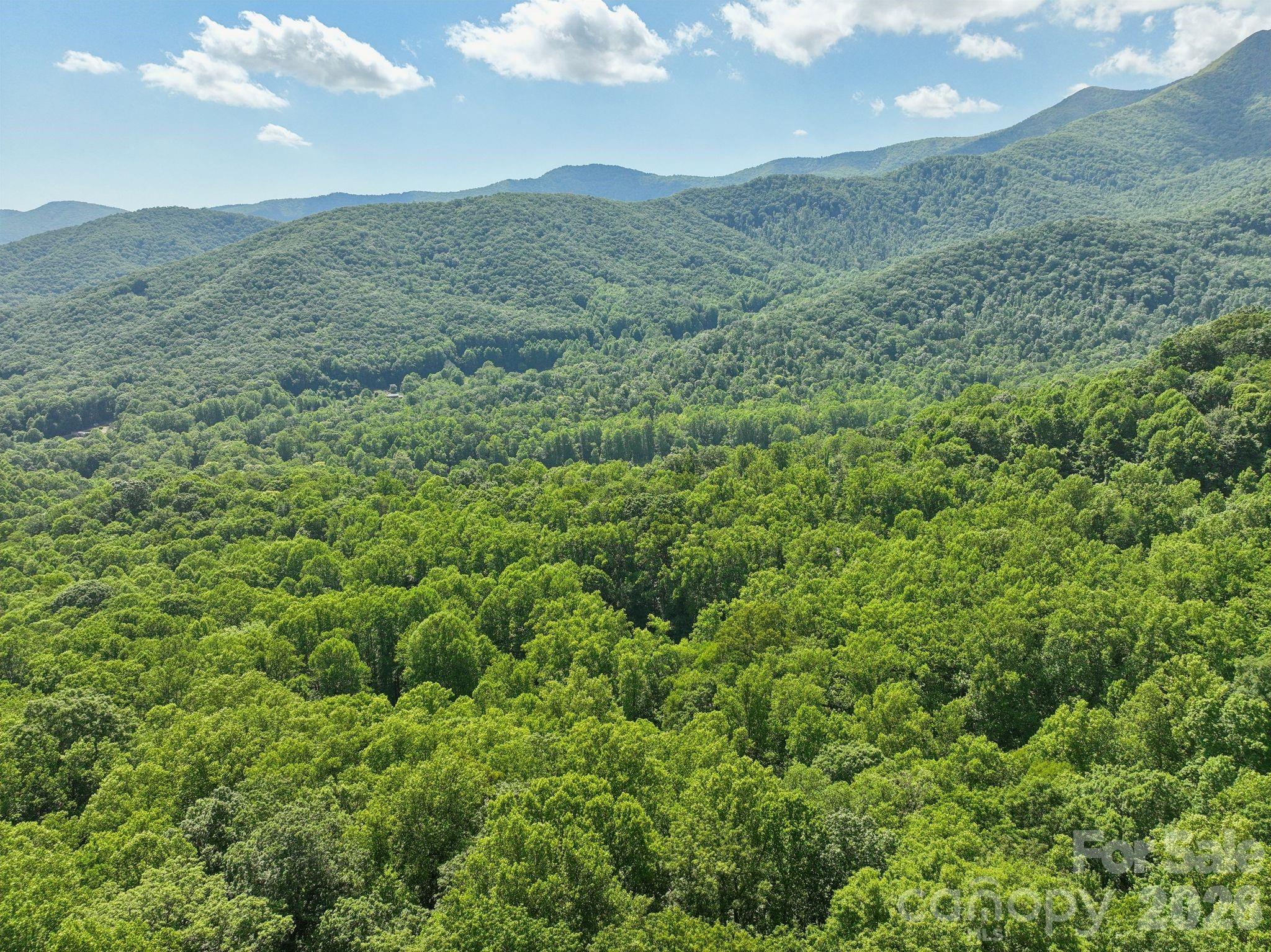 89 Apgar Road Candler, NC 28715 - Photo 31 of 37