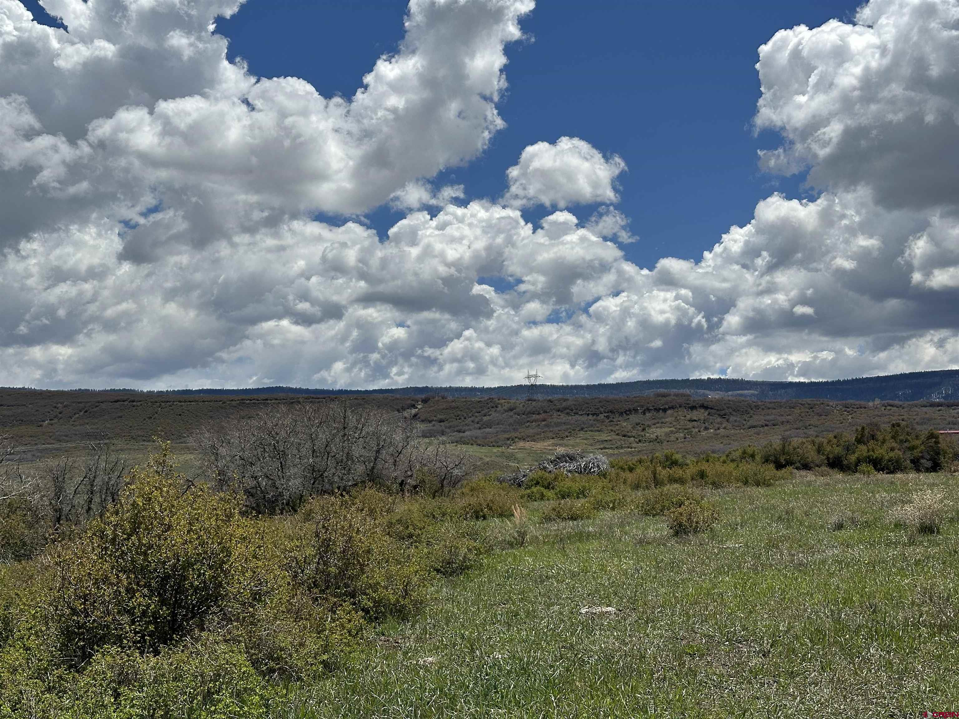 8896 8250th Road Crawford, CO 81415 - Photo 19 of 42