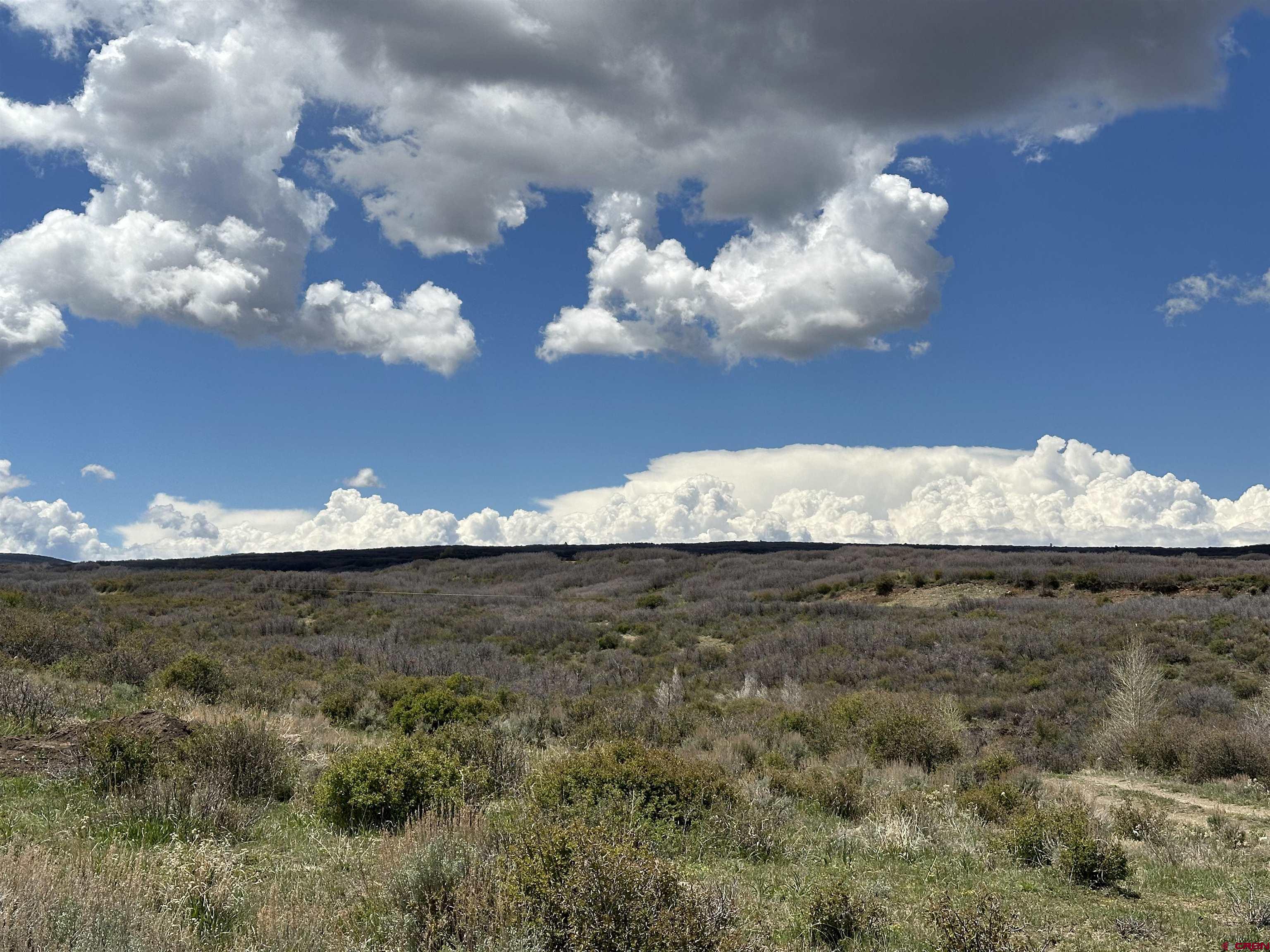 8896 8250th Road Crawford, CO 81415 - Photo 20 of 42