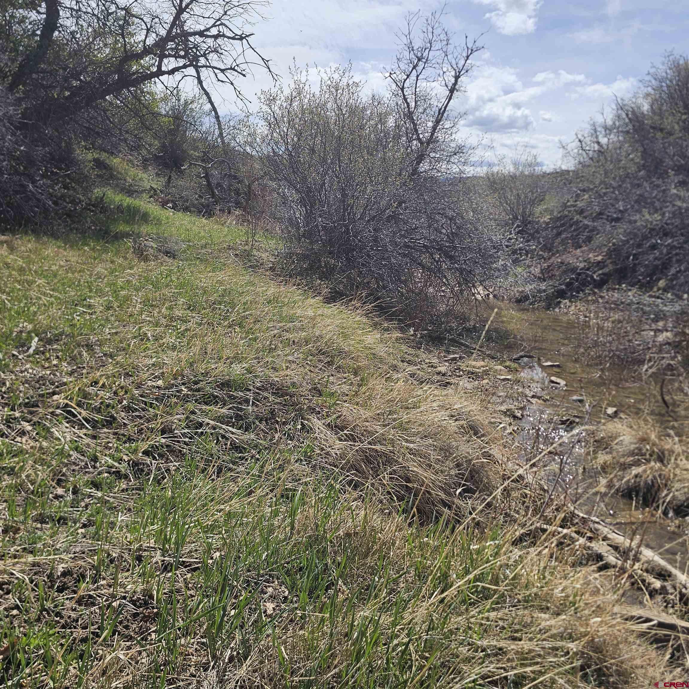 8896 8250th Road Crawford, CO 81415 - Photo 25 of 37 a view of a yard with a tree