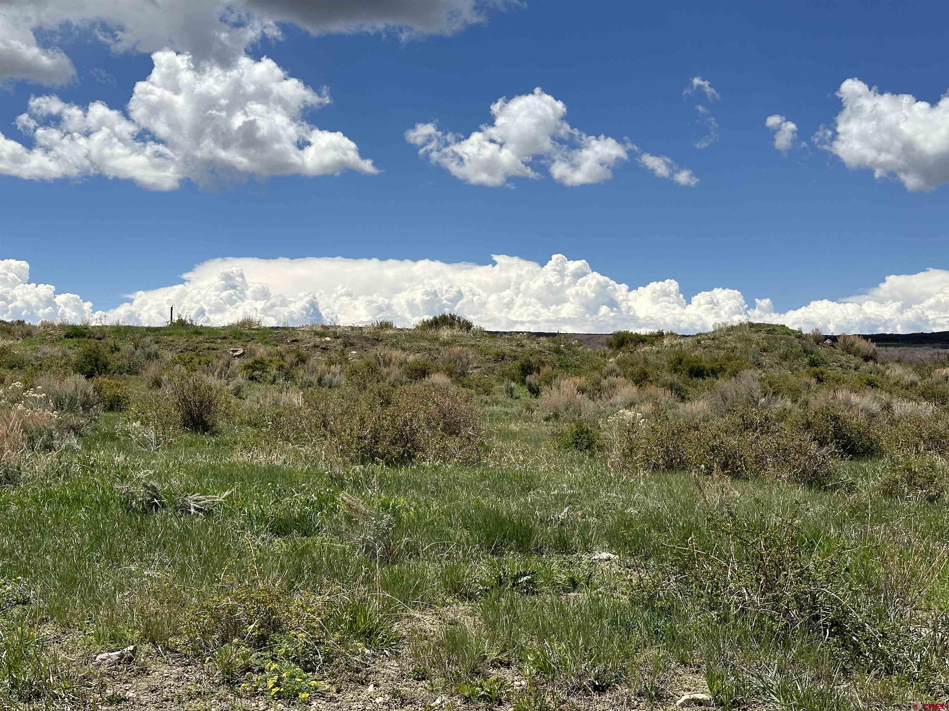 8896 8250th Road Crawford, CO 81415 - Photo 26 of 37 a view of a lake in middle of forest