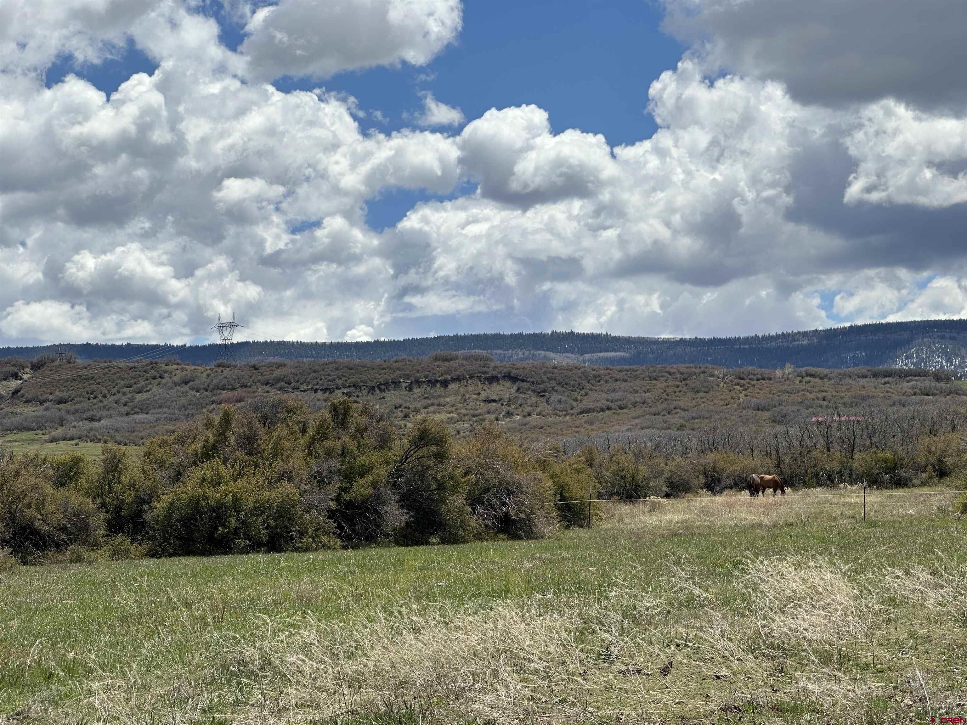 8896 8250th Road Crawford, CO 81415 - Photo 28 of 42