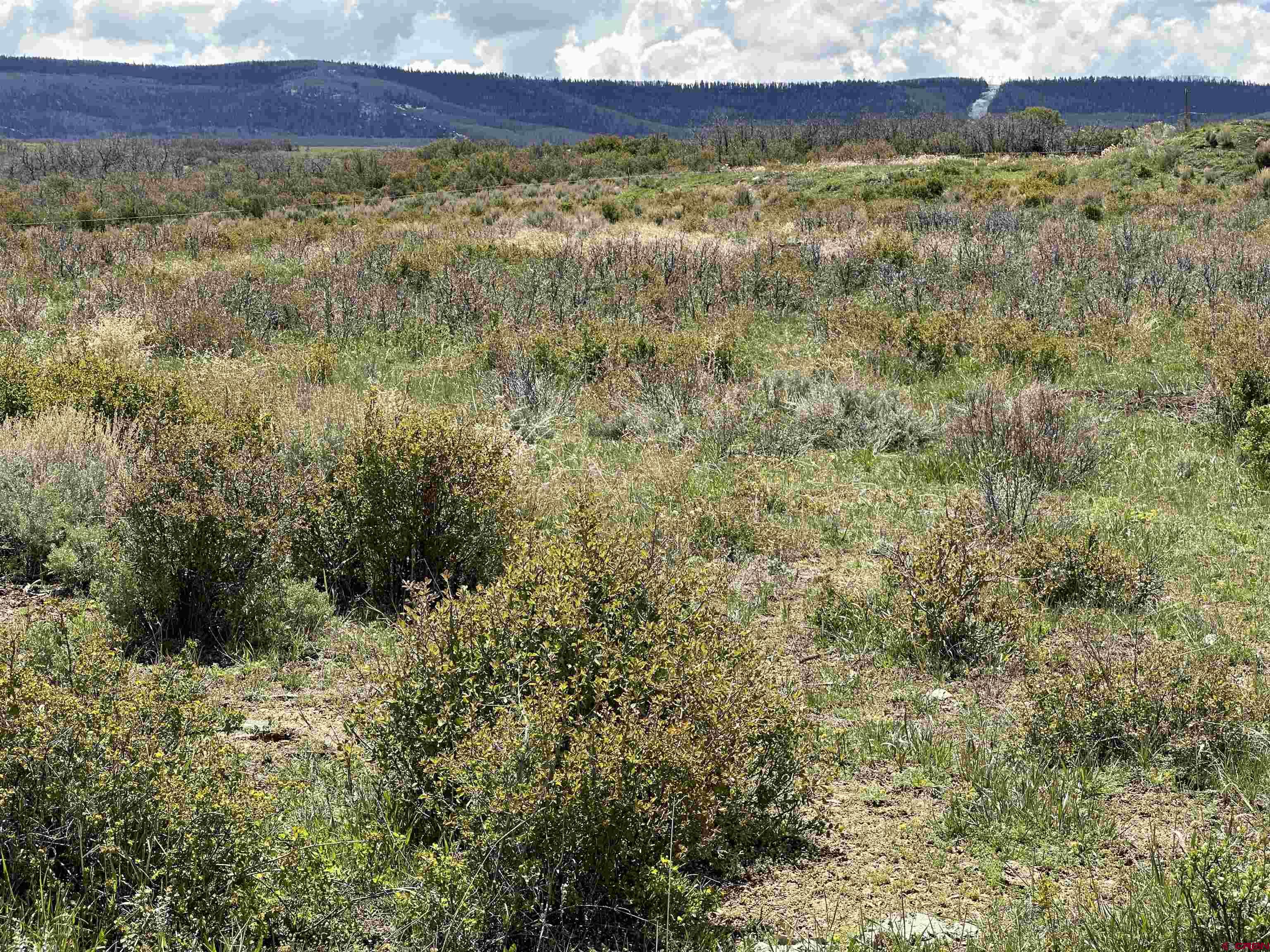 8896 8250th Road Crawford, CO 81415 - Photo 32 of 42