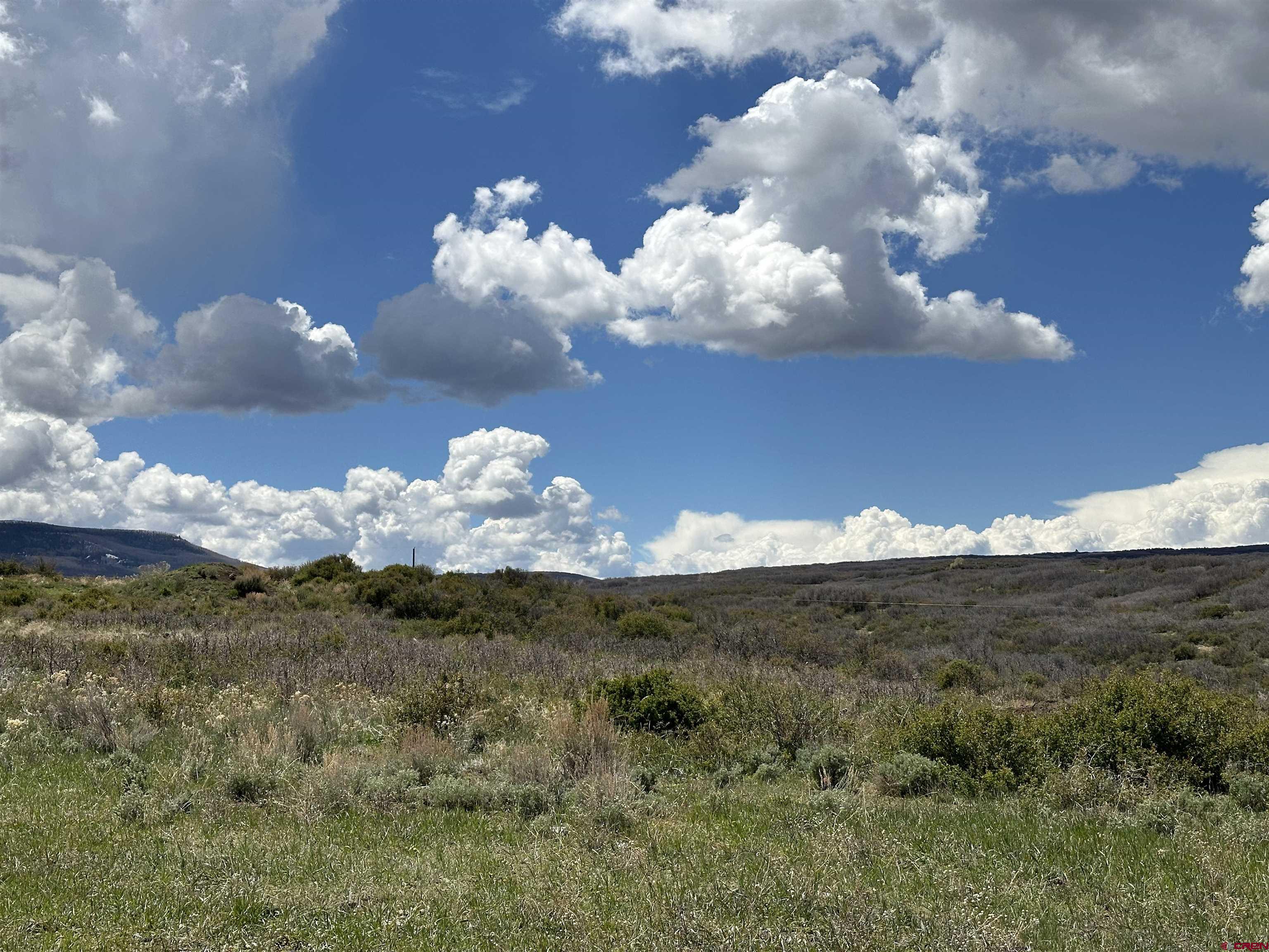 8896 8250th Road Crawford, CO 81415 - Photo 8 of 42