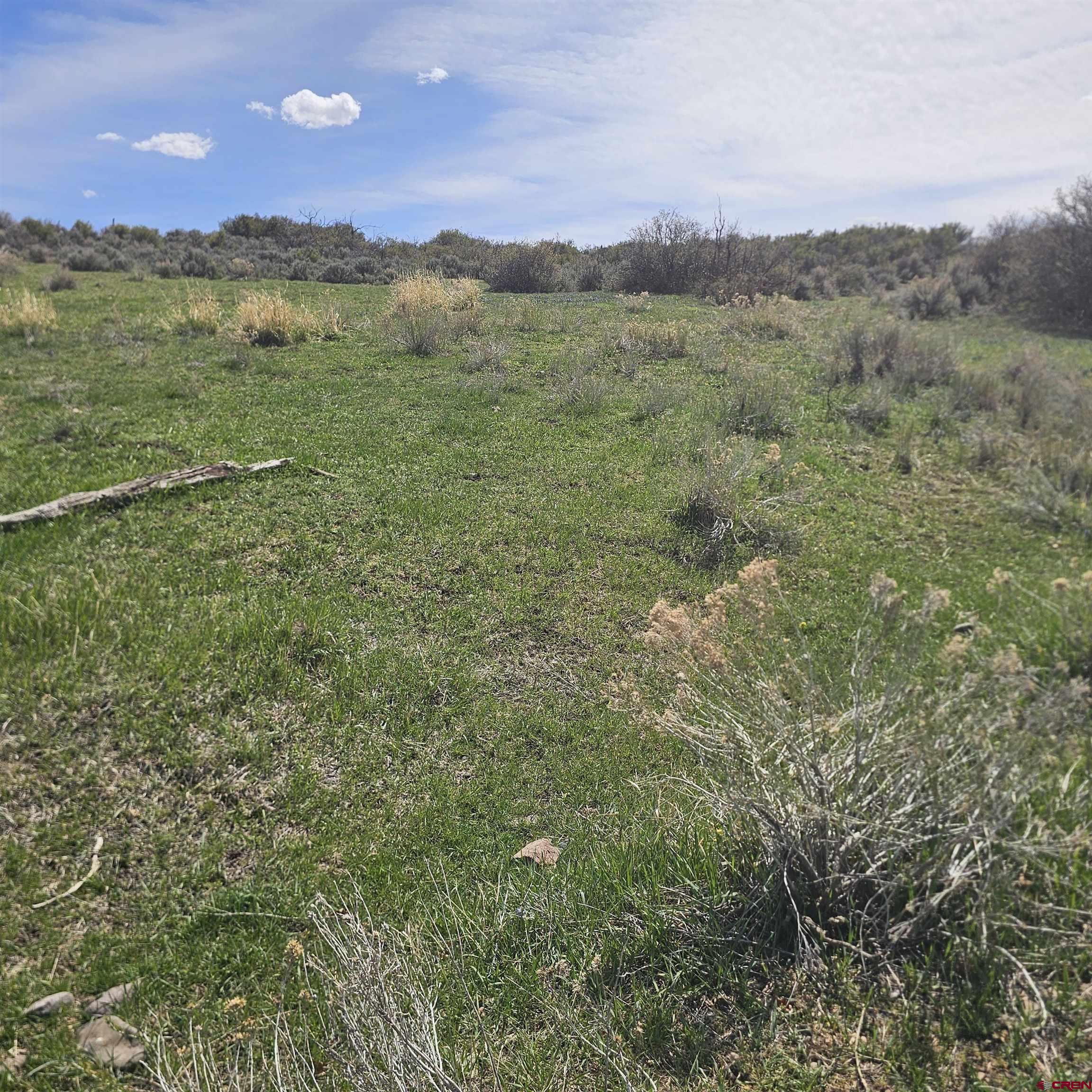 8896 8250th Road Crawford, CO 81415 - Photo 10 of 42