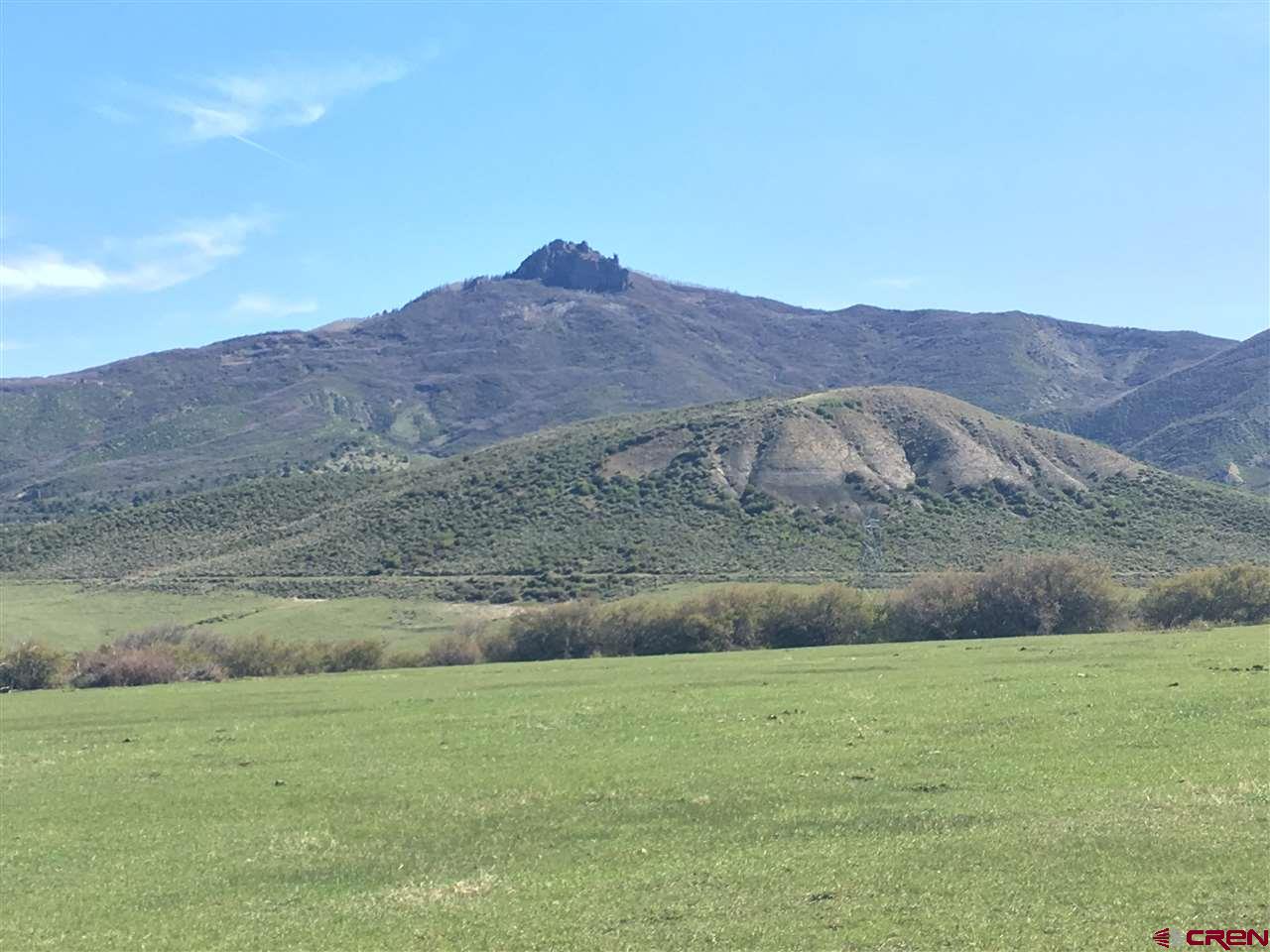 8896 8250th Road Crawford, CO 81415 - Photo 10 of 37 a view of outdoor space and mountain view