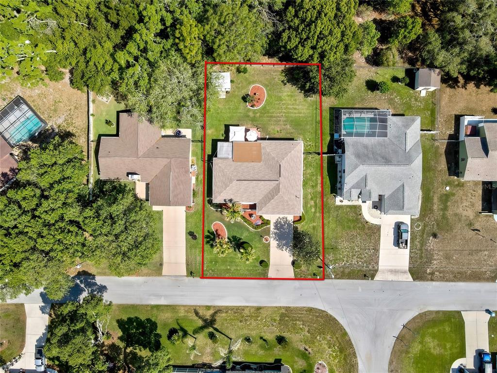 9045 Gaynor Street Spring Hill, FL 34608 - Photo 3 of 35