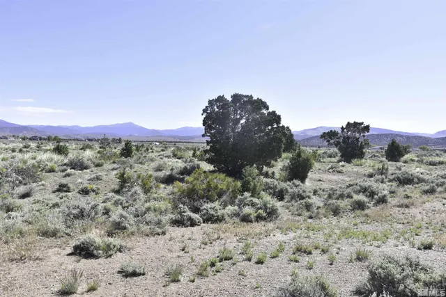 a view of a dry field with mountains in the background