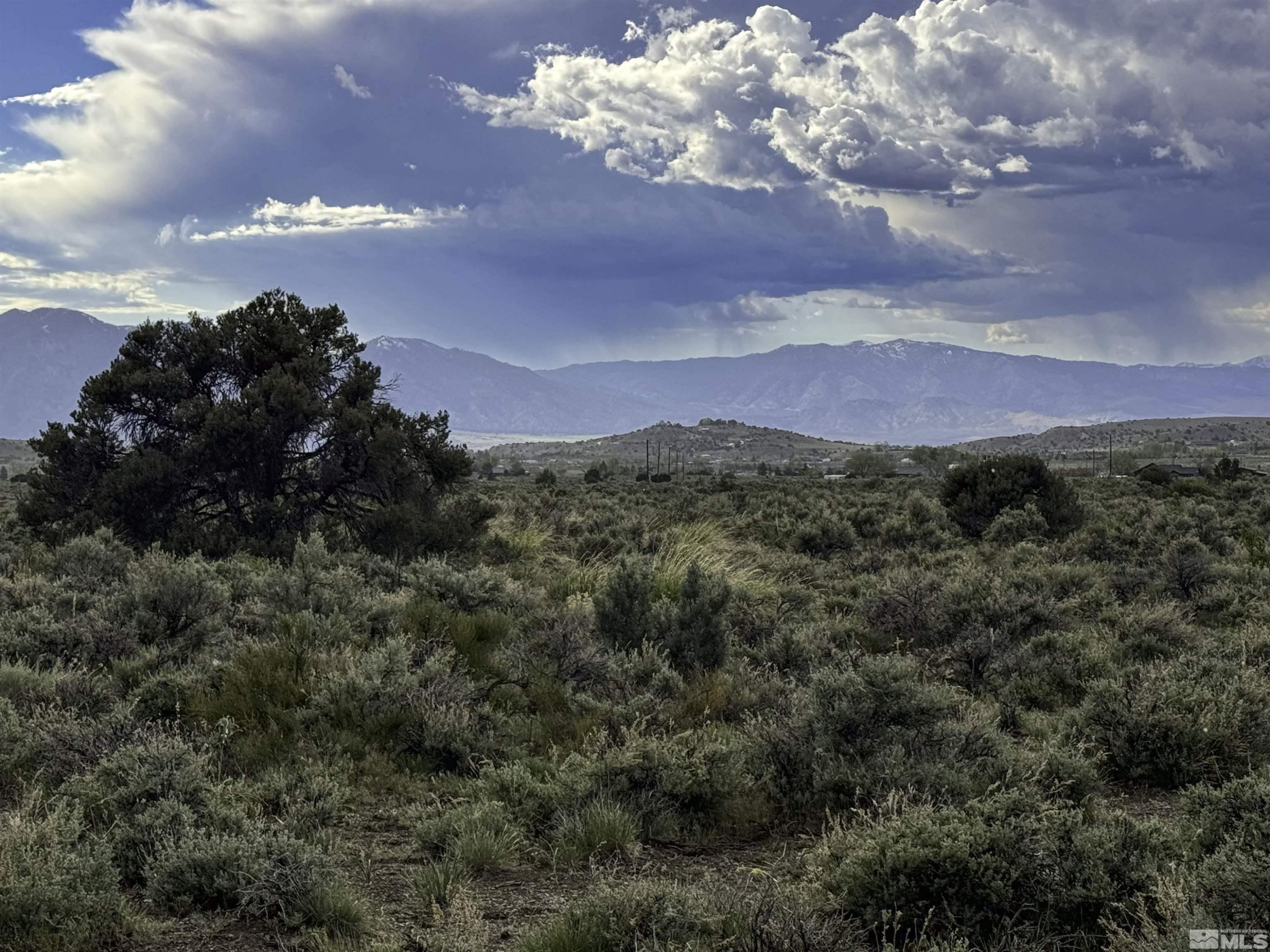 Tbd Homestead Road Gardnerville, NV 89410 - Photo 6 of 7