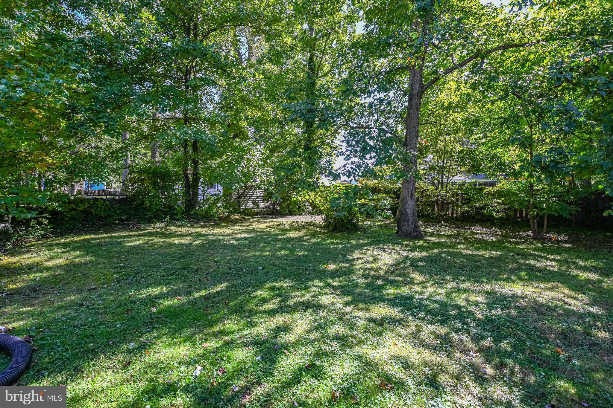 5306 Juliet Street Springfield, VA 22151 - Photo 29 of 32
