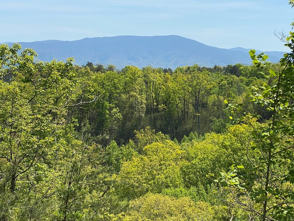 1910 Bluff Ridge Road Sevierville, TN 37876 - Photo 14 of 66