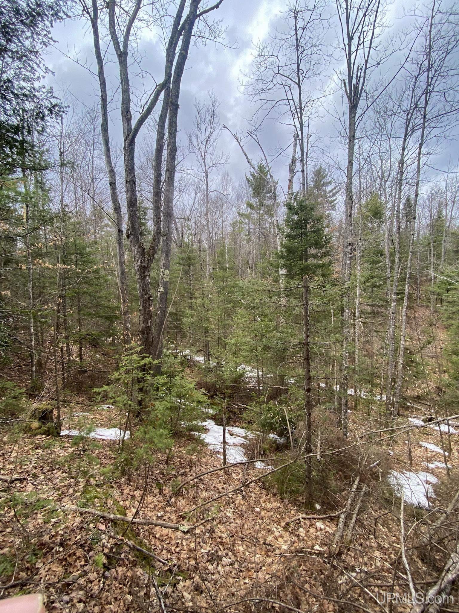 Tbd Tbd County Road Ishpeming, MI 49849 - Photo 18 of 24