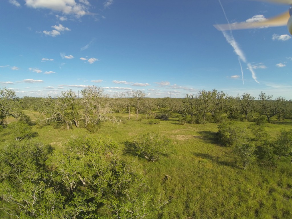 26808 Hamilton Pool Road Round Mountain, TX 78663 - Photo 1 of 1