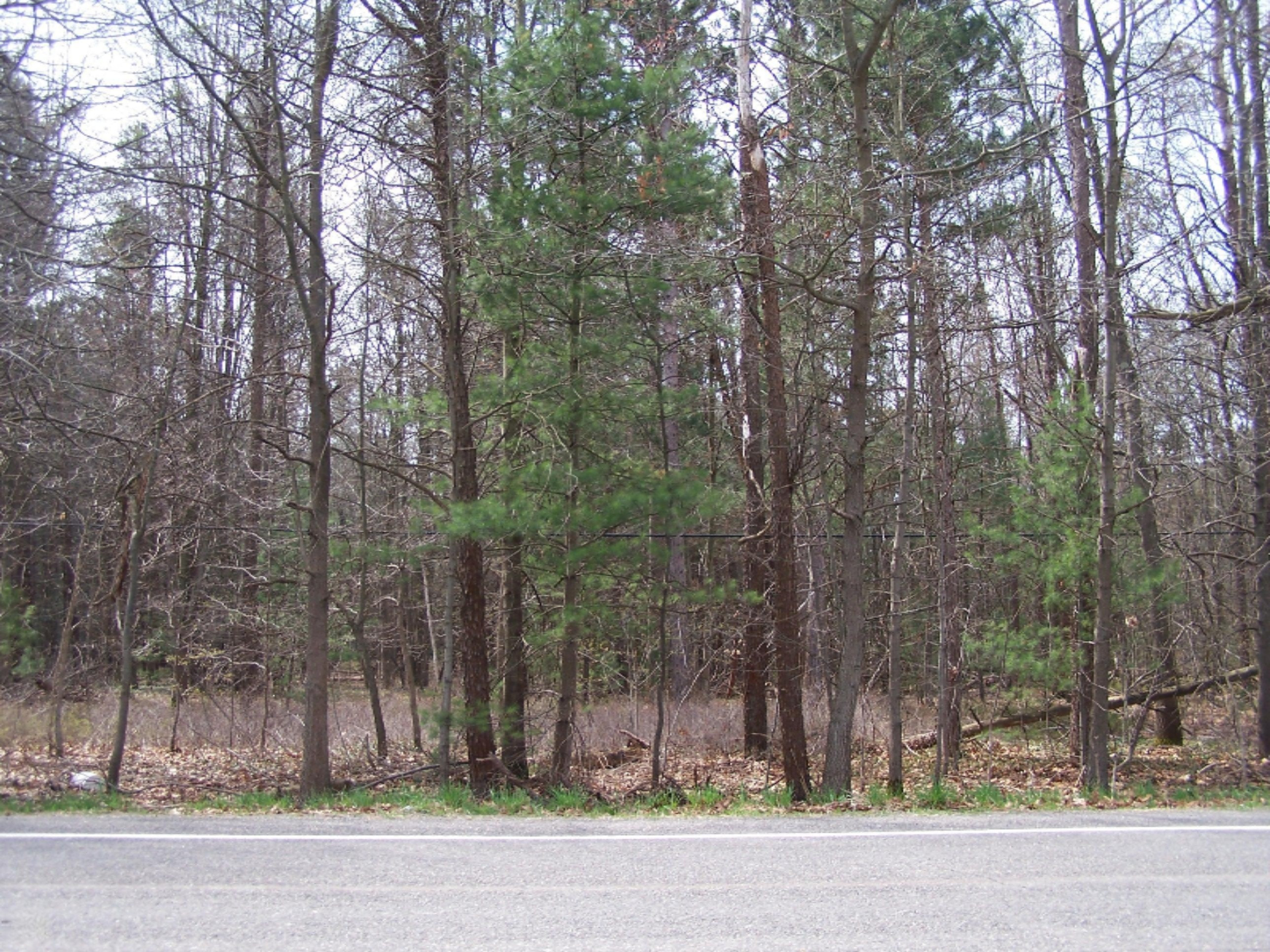 0 Ensley Road, Unit PAR D Ravenna, MI 49451 - Photo 6 of 6 100_8764