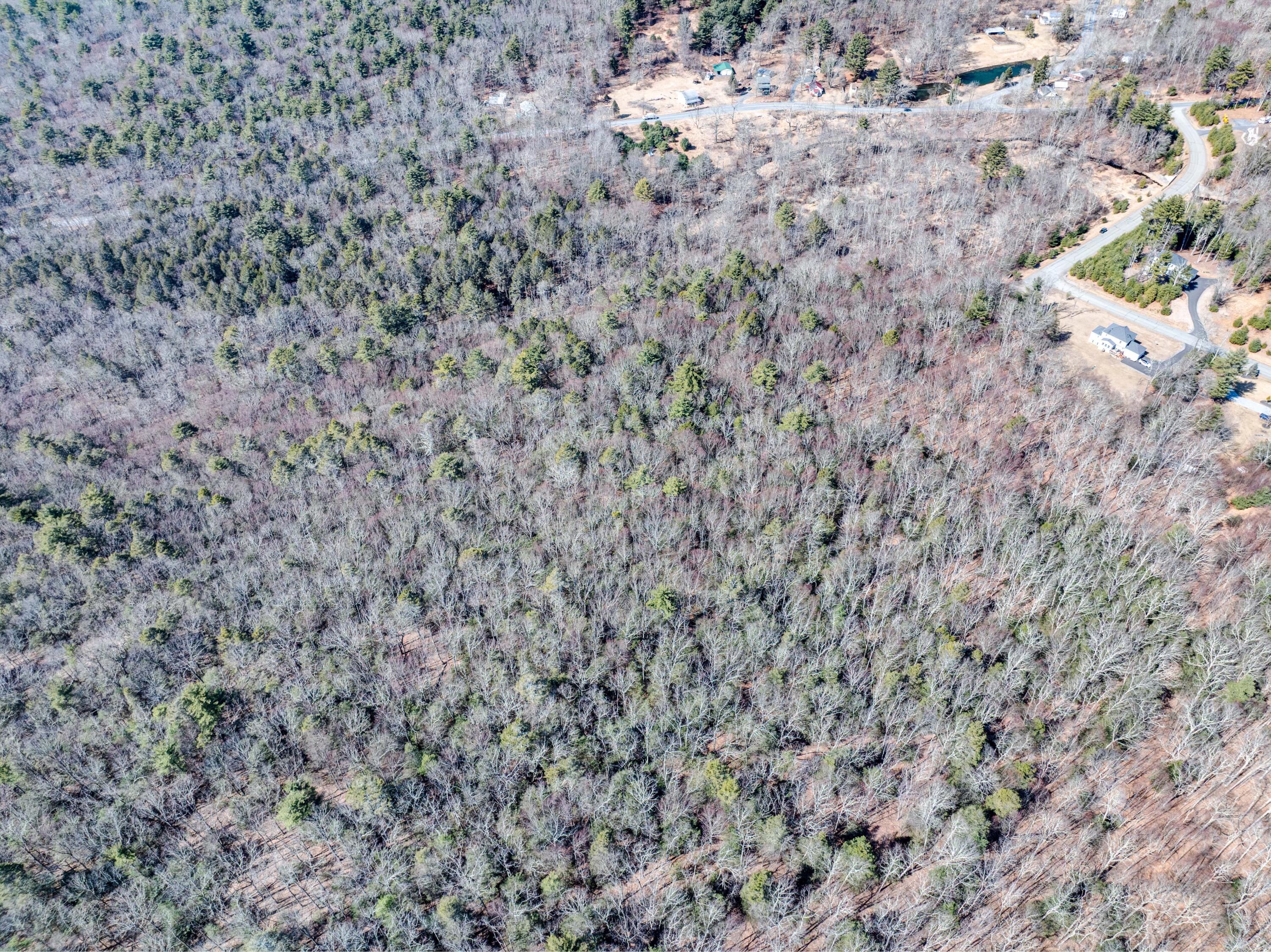 331 Wooddale Road East Stroudsburg, PA 18302 - Photo 11 of 18 DJI_20250314135309_0423_D