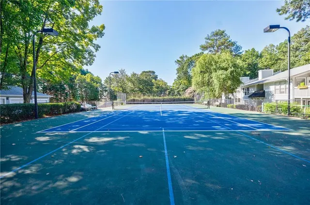 a view of a garden with plants