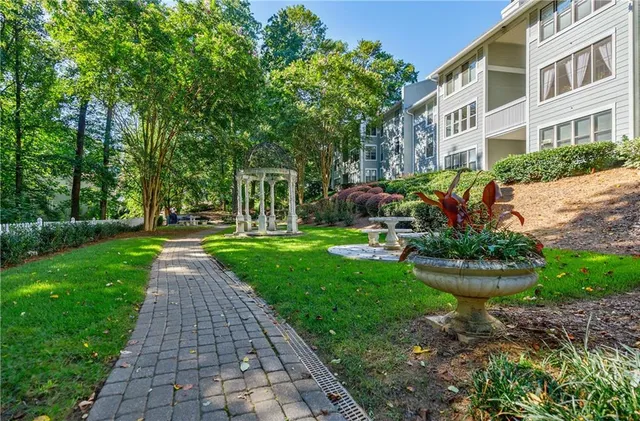 a view of a forest with trees in the background