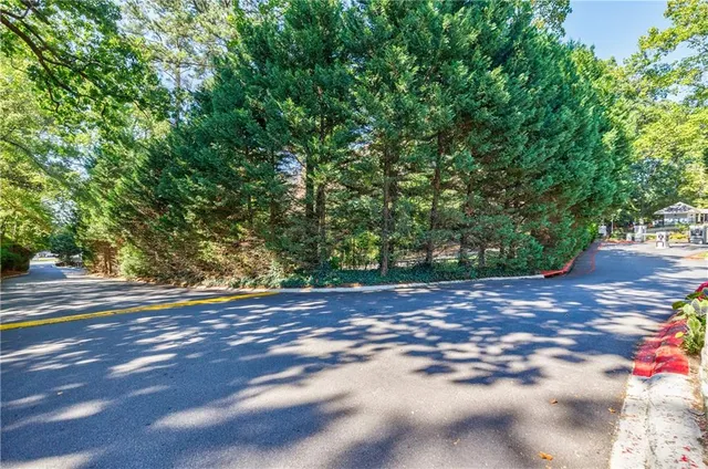 a view of a yard with a tree
