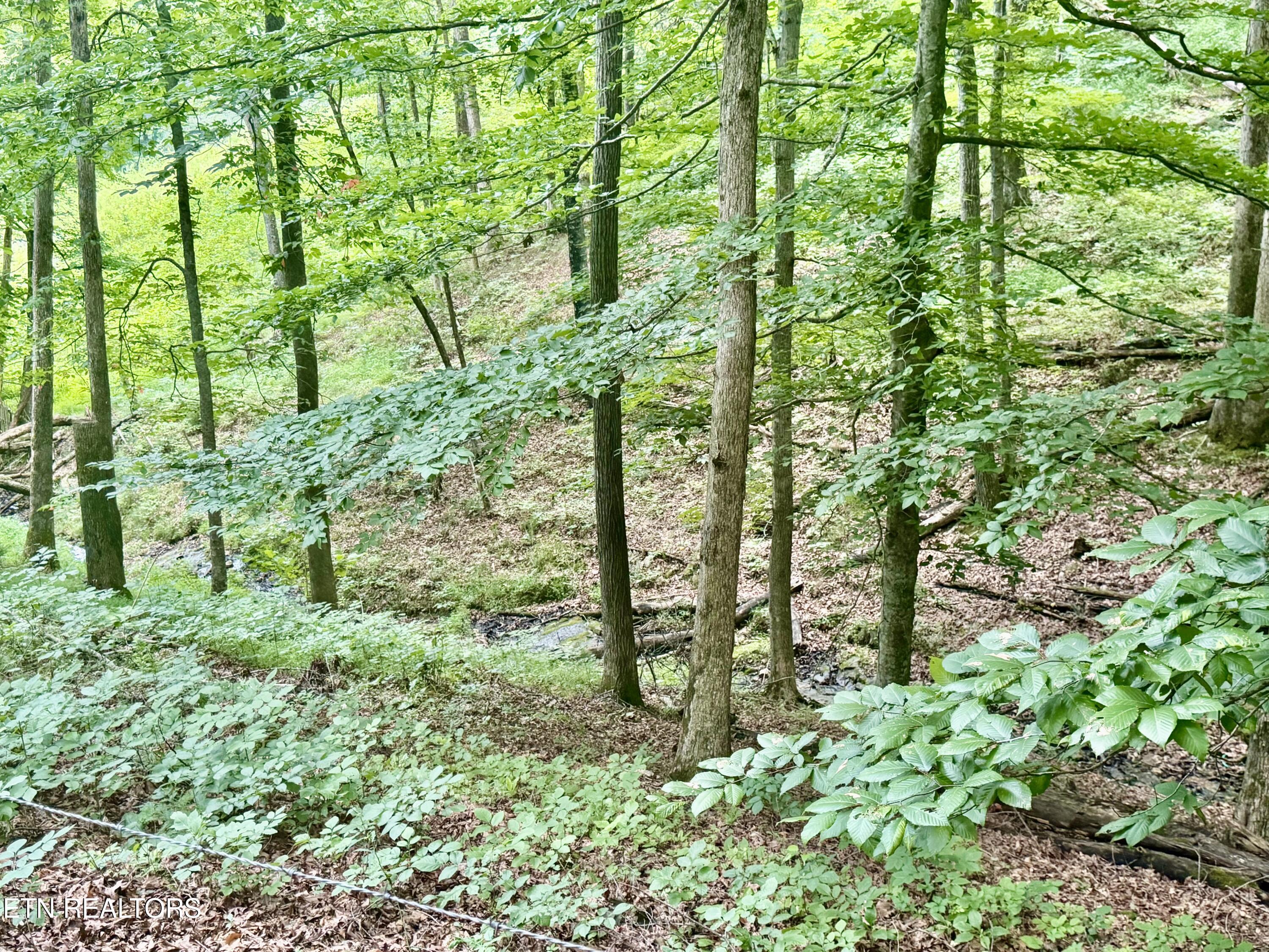 1545 Estes Road Tazewell, TN 37879 - Photo 13 of 34 IMG_5149