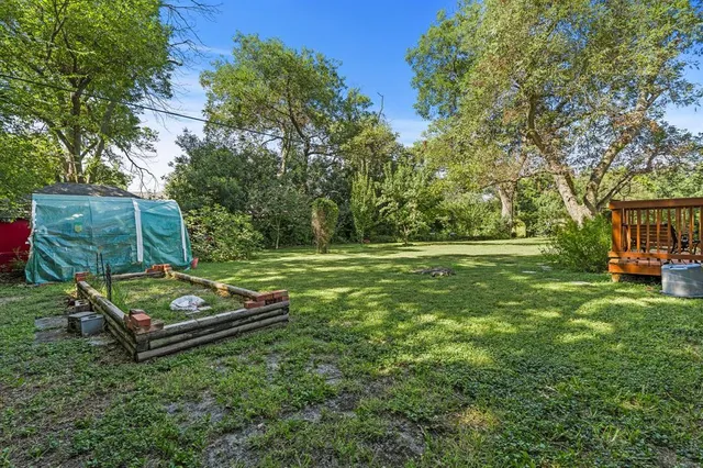 a view of a park with large trees