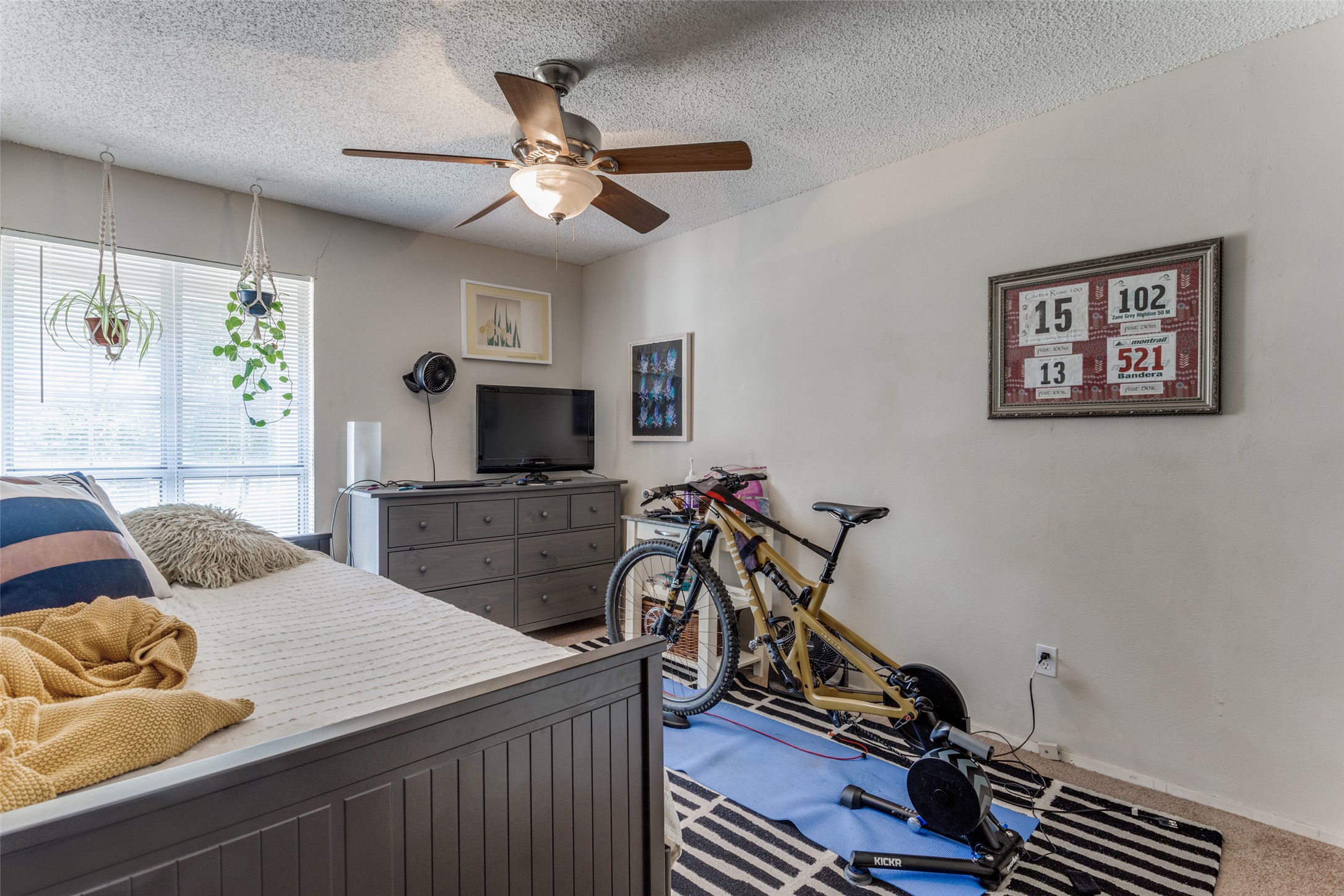 2713 Tether Trail Austin, TX 78704 - Photo 18 of 22 a living room with furniture and a flat screen tv