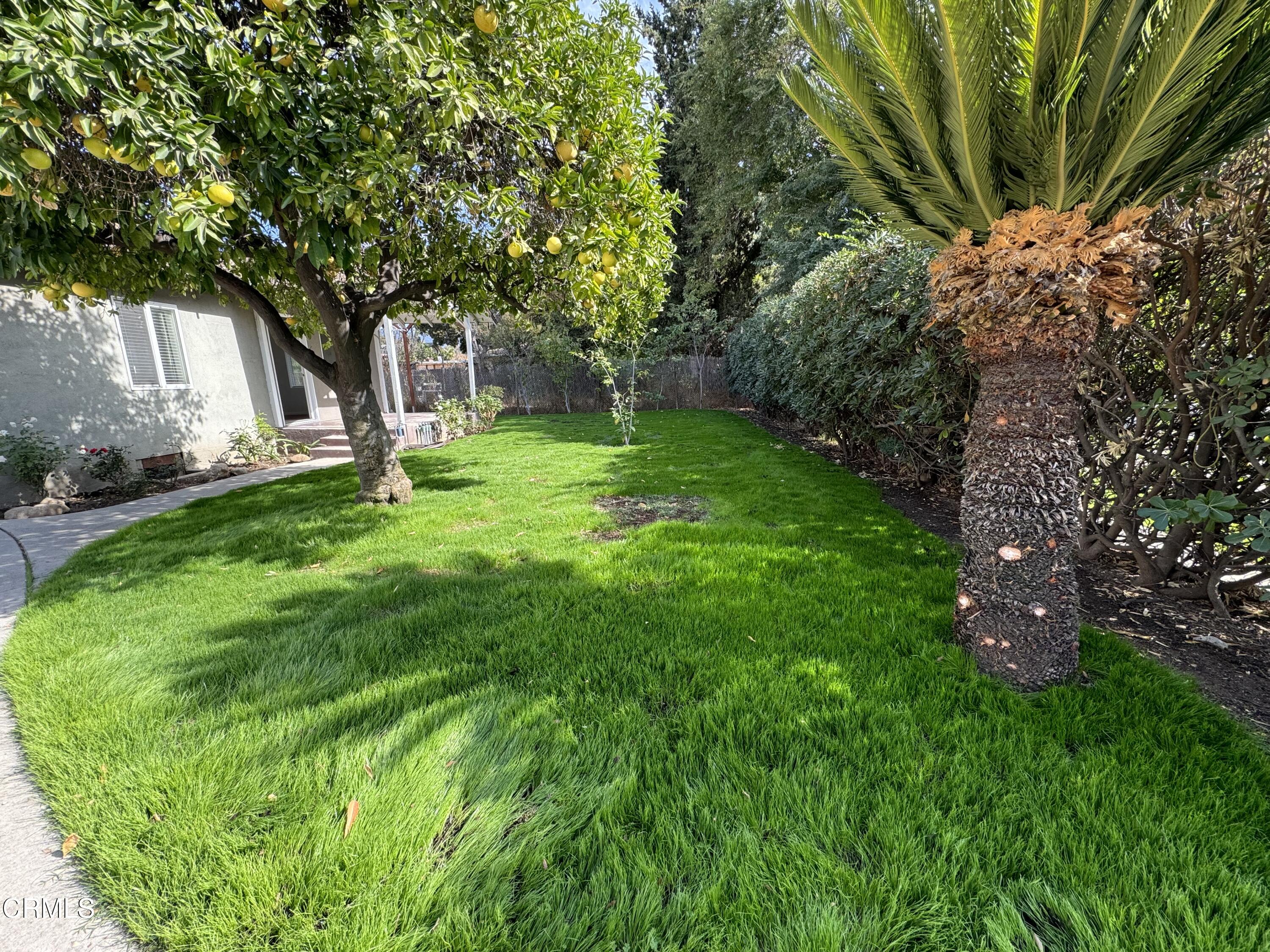 550 MacDonald Street Pasadena, CA 91103 - Photo 41 of 63 a view of a house with a backyard