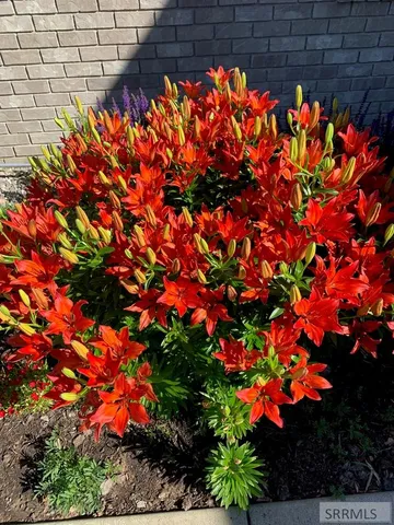 $895,000 | 319 Snook Street, Salmon, ID 83467