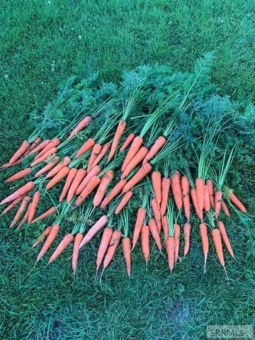 $895,000 | 319 Snook Street, Salmon, ID 83467