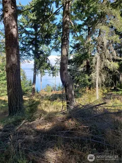 $295,000 | 0 Matia View, Unit LOT 2, Orcas Island, WA 98245