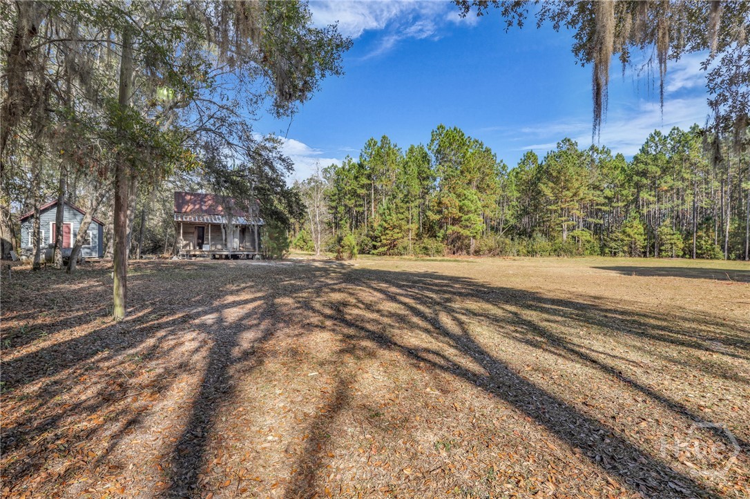 4931 Mill Branch Pembroke, GA 31321 - Photo 47 of 64