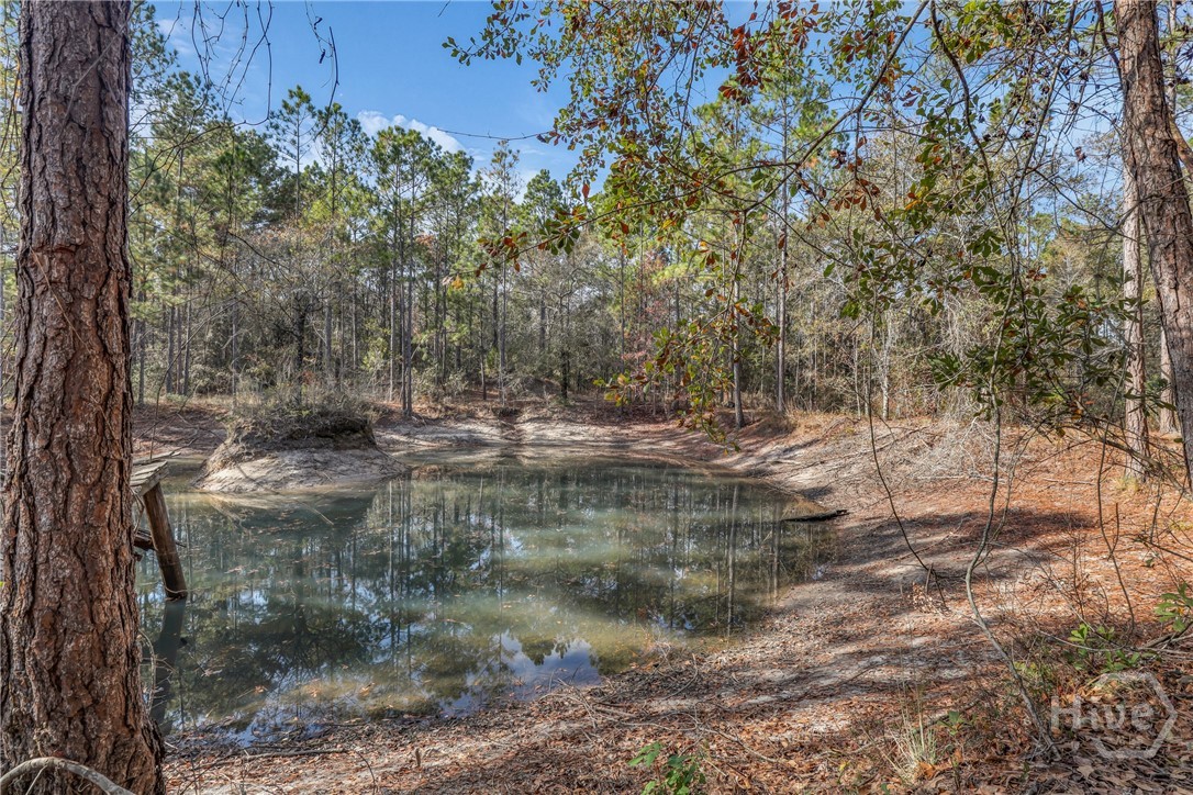 4931 Mill Branch Pembroke, GA 31321 - Photo 57 of 64