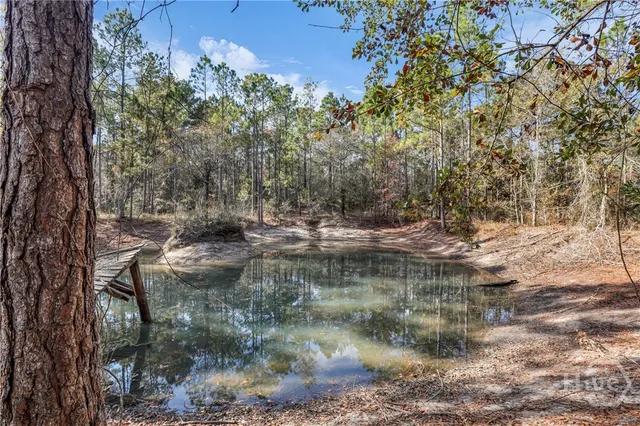 $789,900 | 4931 Mill Branch, Pembroke, GA 31321