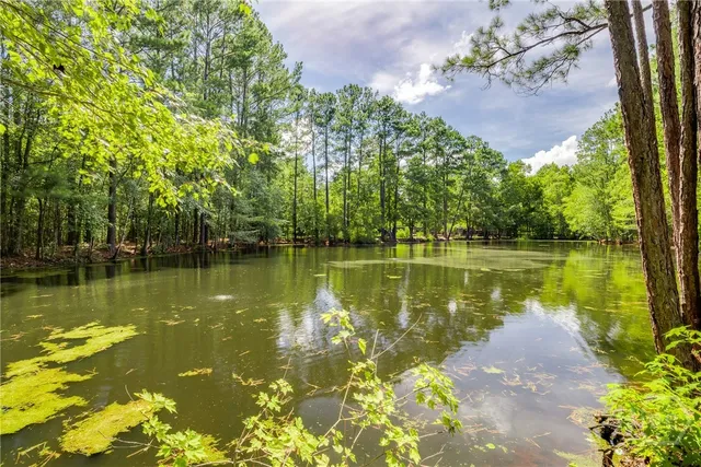 $1,225,000 | 182 Old River Road, Bloomingdale, GA 31302