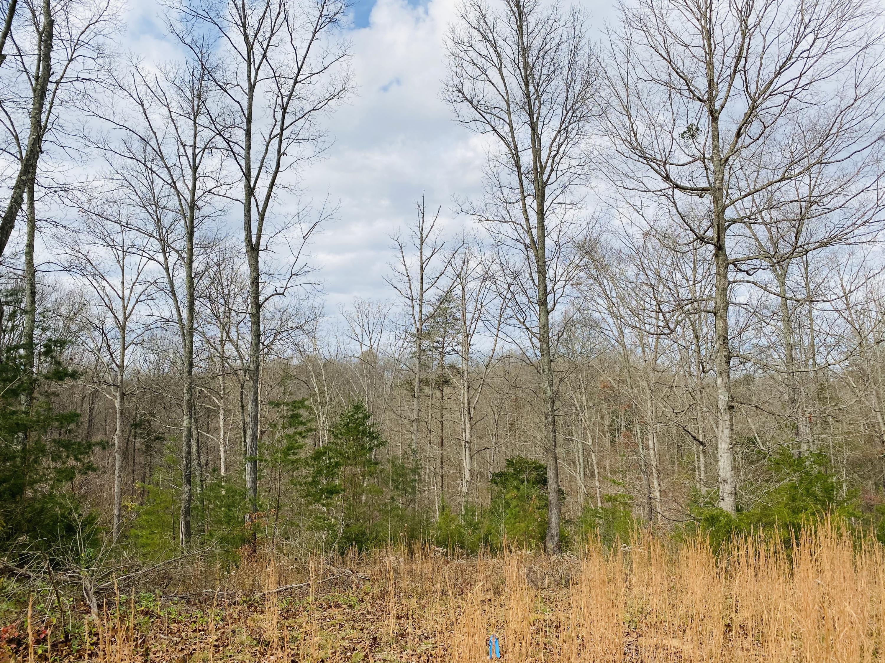 3 Stearns Holw Road Monticello, KY 42633 - Photo 5 of 20 IMG_4699