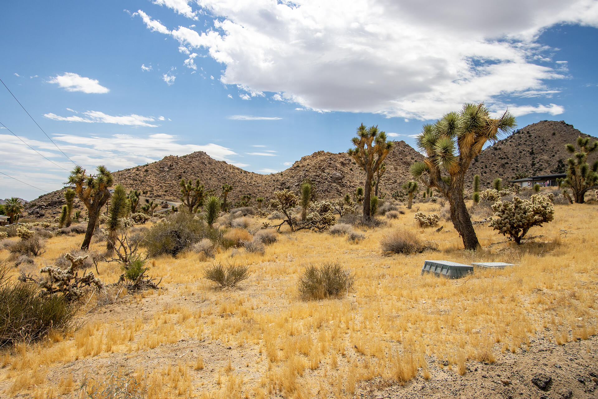 8021 Wesley Road Joshua Tree, CA 92252 - Photo 6 of 25 IMG_1896