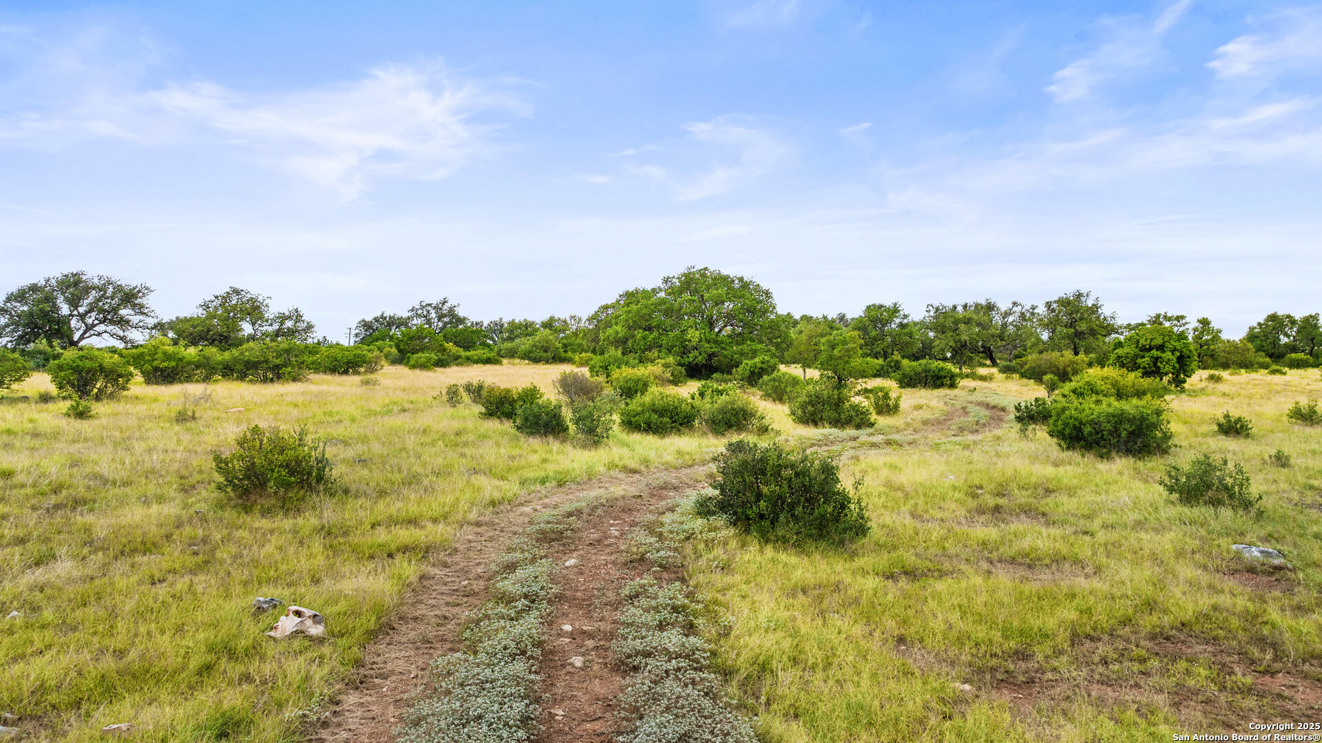 Lot 37 Vista Ridge Round Mountain, TX 78663 - Photo 15 of 31