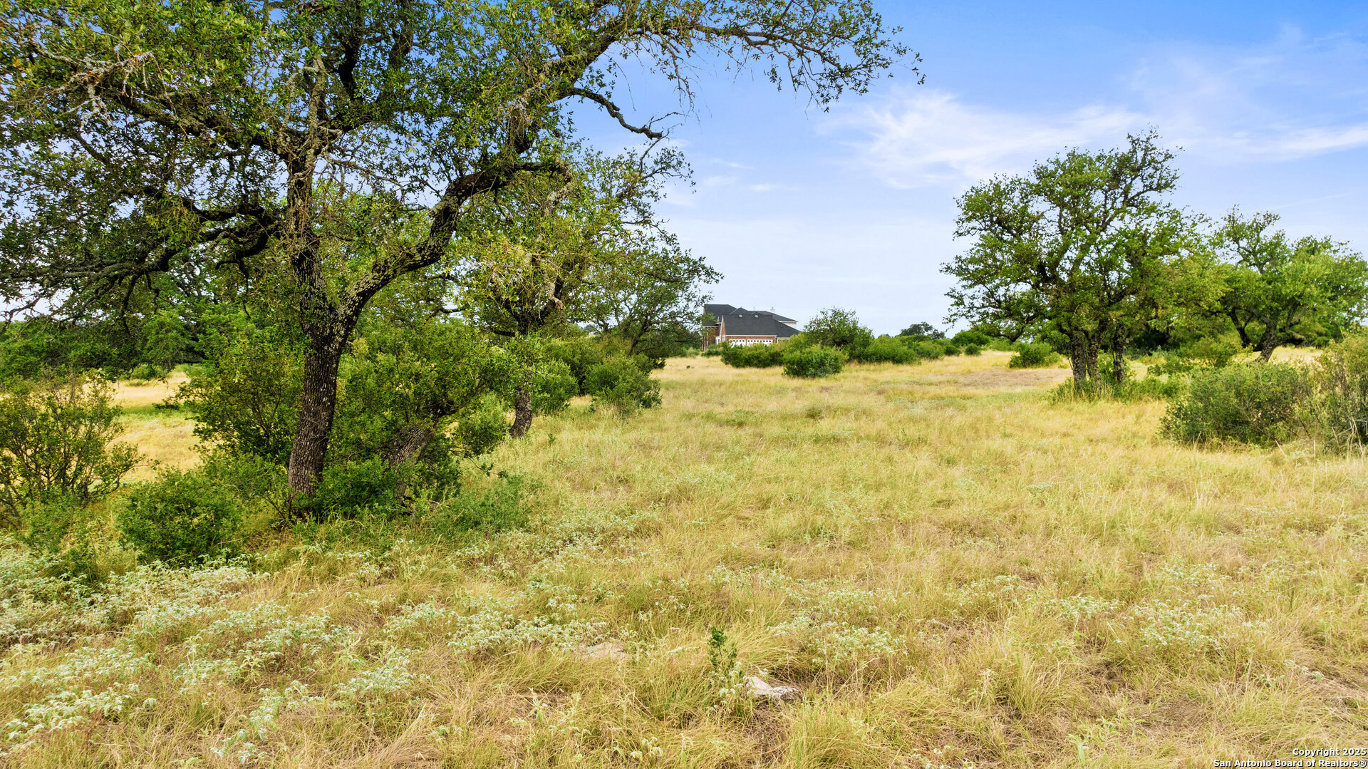 Lot 37 Vista Ridge Round Mountain, TX 78663 - Photo 18 of 30 a view of a yard with plants and tree