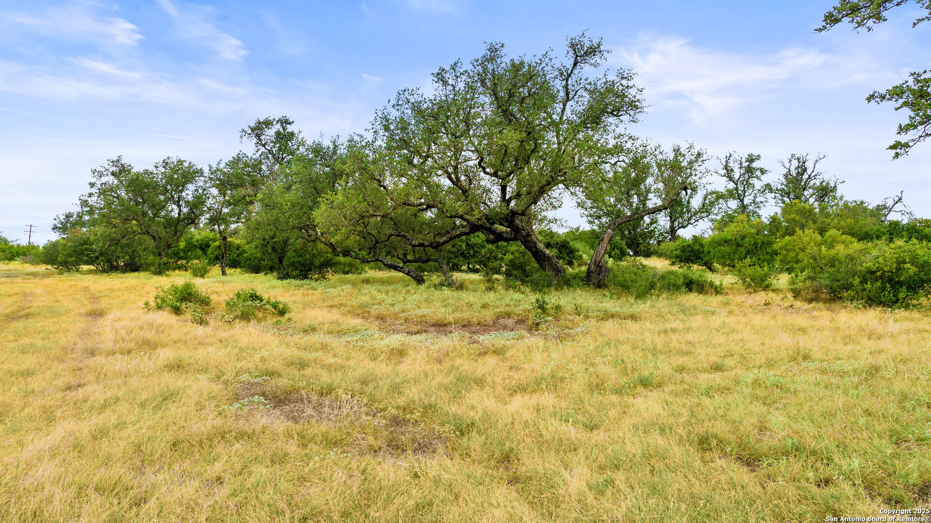 Lot 37 Vista Ridge Round Mountain, TX 78663 - Photo 19 of 30 a backyard of a house with lots of green space