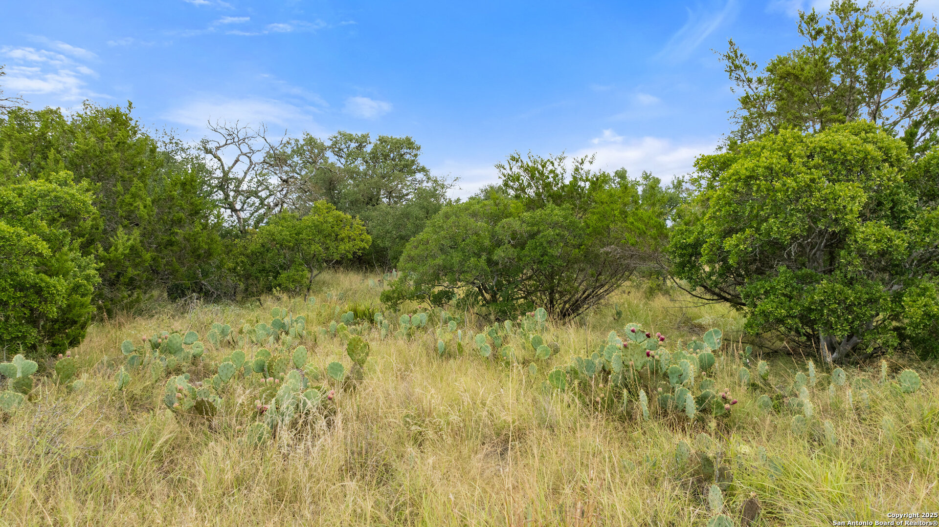 Lot 37 Vista Ridge Round Mountain, TX 78663 - Photo 23 of 30 a view of a garden
