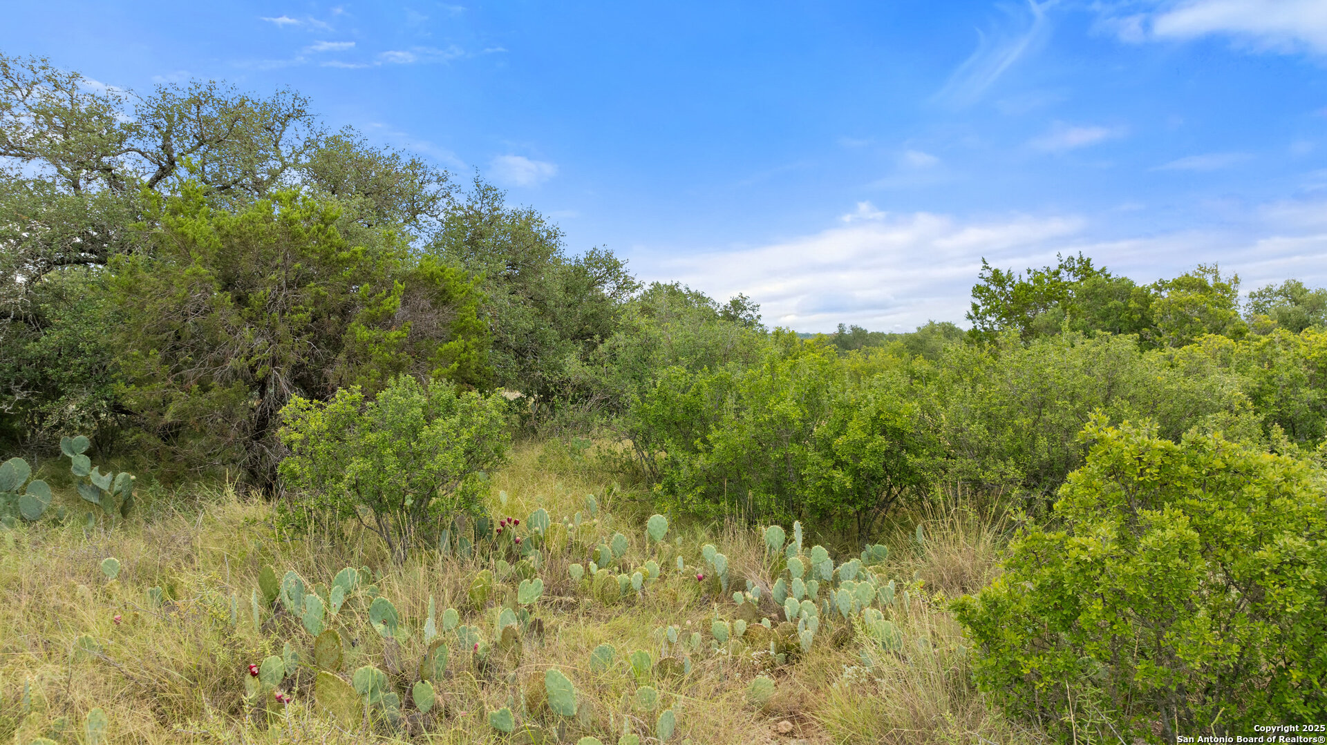 Lot 37 Vista Ridge Round Mountain, TX 78663 - Photo 24 of 30 a view of a lush green space