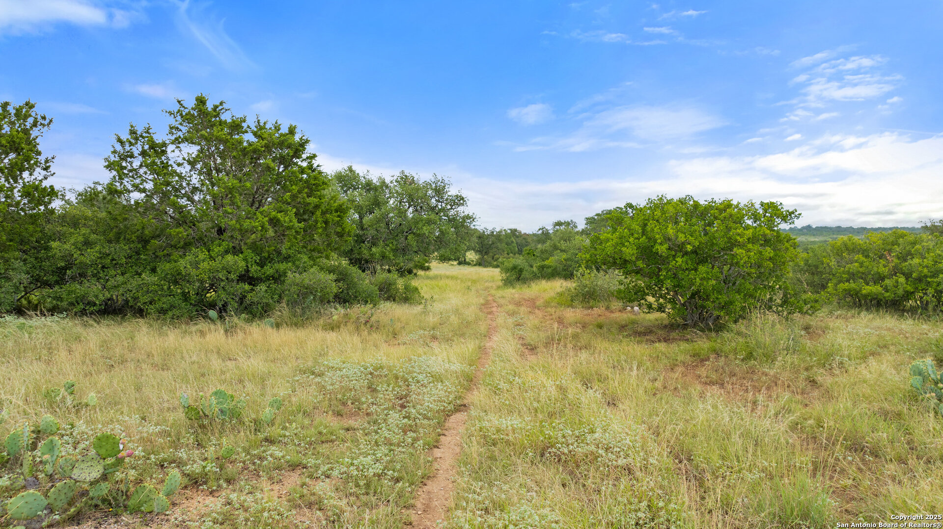 Lot 37 Vista Ridge Round Mountain, TX 78663 - Photo 26 of 30 a view of a lake view